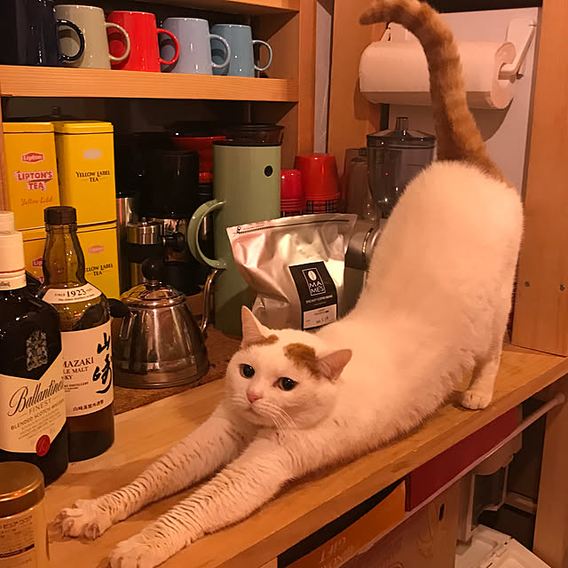 sakurasakuさんの実例写真