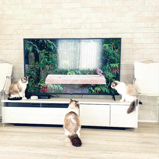 gingerwynksさんの実例写真