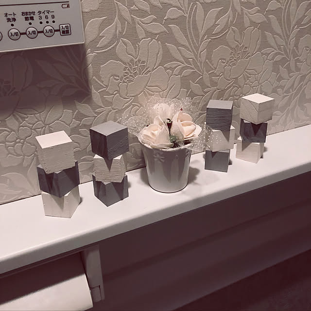 kazuさんの実例写真