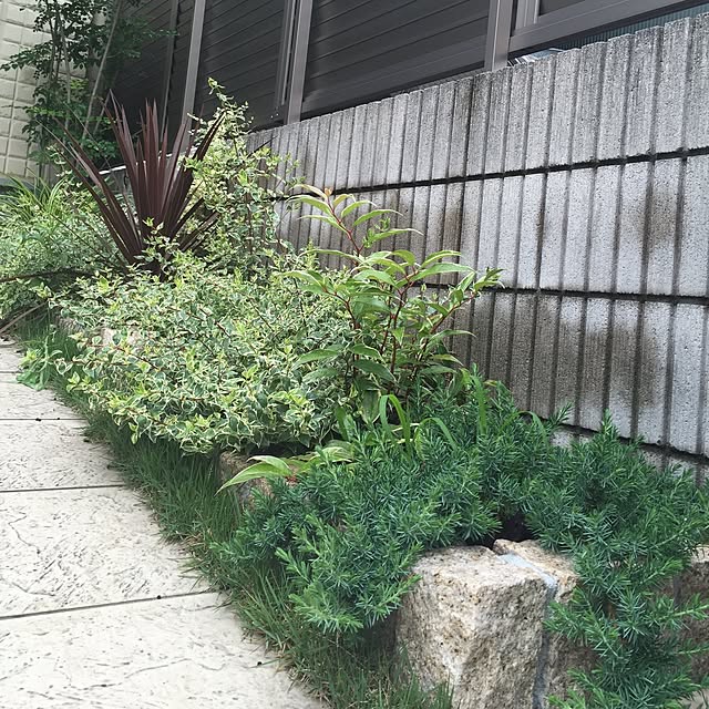 mamayu531さんの実例写真