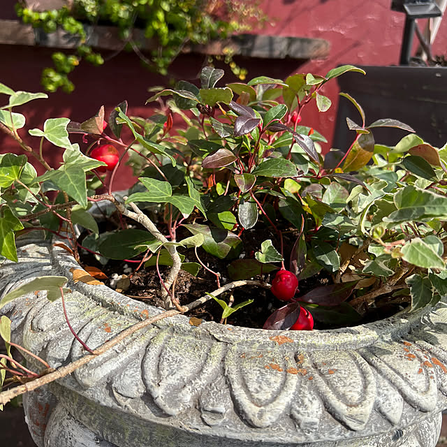 AYUKOさんの部屋