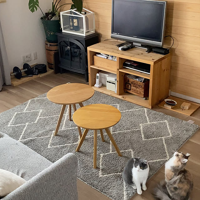 akinekoさんの実例写真