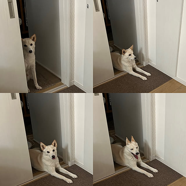 tanboさんの部屋
