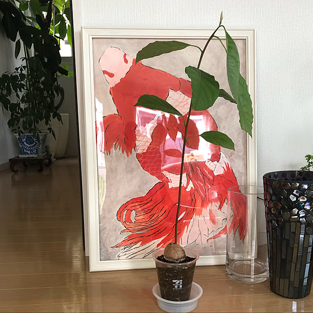 reverie.222さんの実例写真