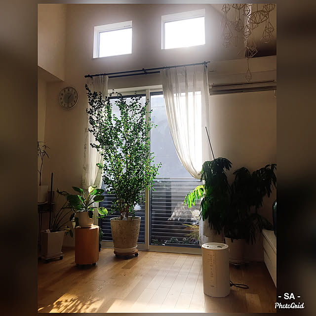 SAさんの実例写真