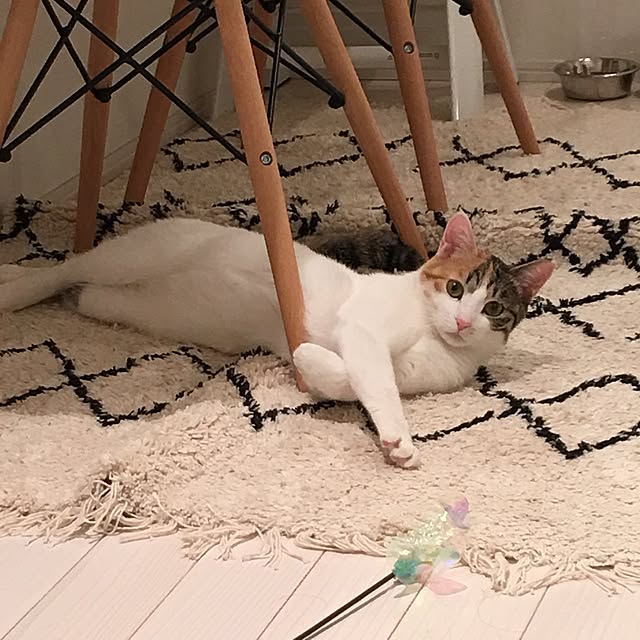 koumeさんの実例写真