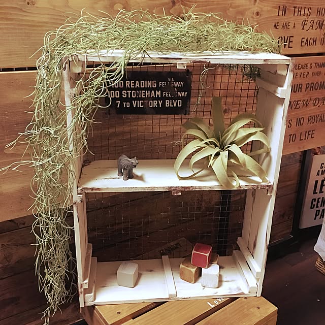 icchiiiさんの実例写真