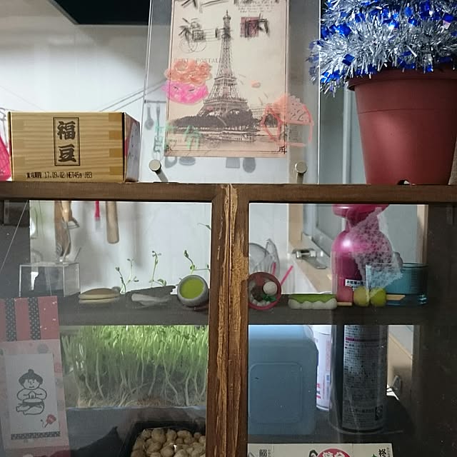 実例写真