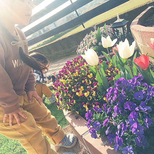 a-chan1221さんの実例写真