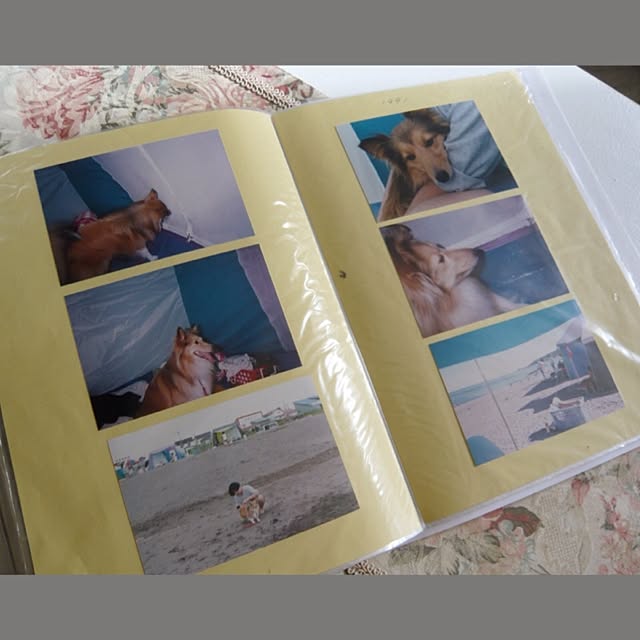 ksyanさんの実例写真