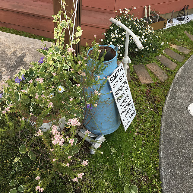 31さんの実例写真