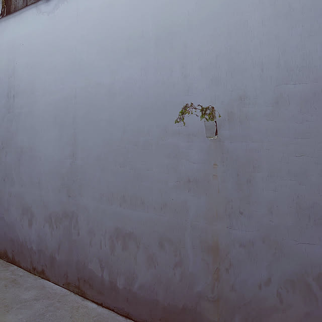 mar.333さんの実例写真