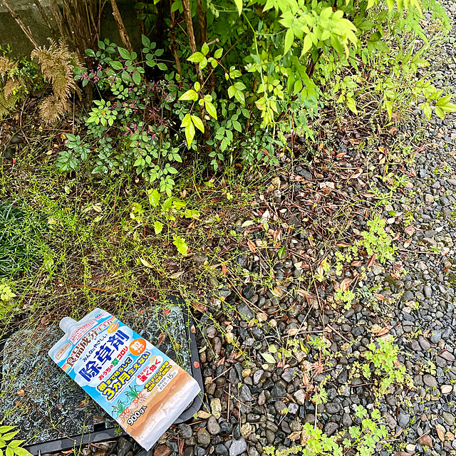 burubonさんの部屋