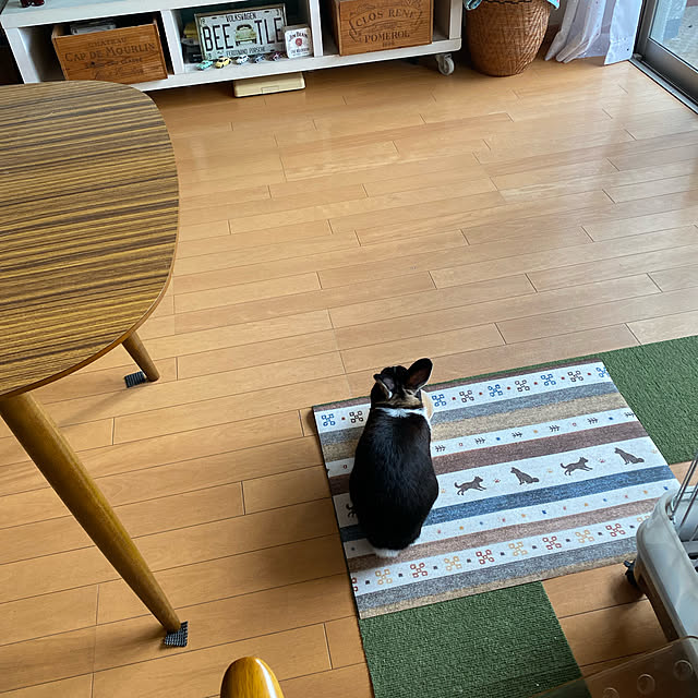 lanaさんの実例写真
