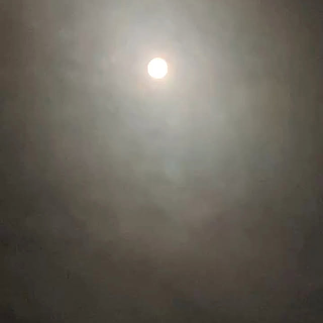 玄関/入り口/満月とうさぎ/うちから見た満月/綺麗に見えた今年の満月/中秋の名月が満月...などのインテリア実例 - 2024-09-18 05:48:31