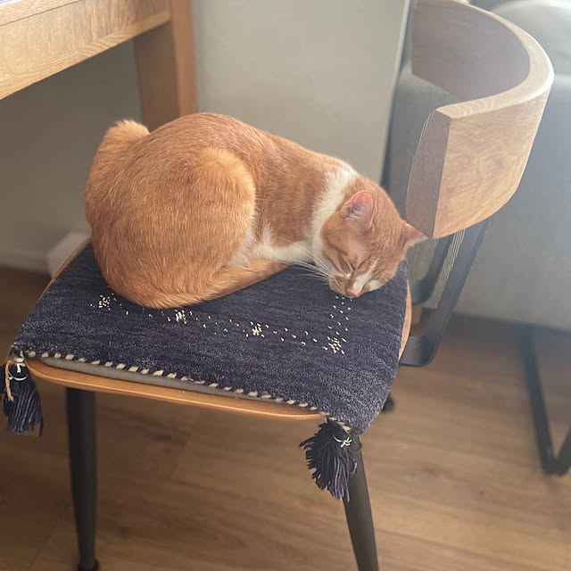 muuさんの実例写真