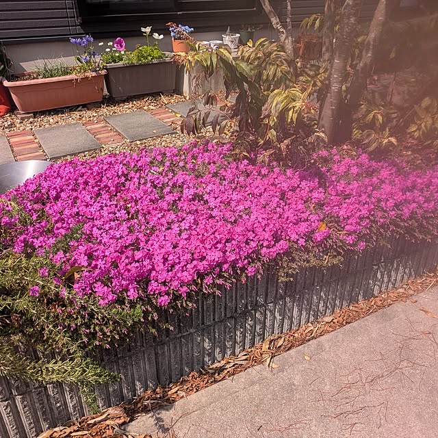 quanshanxia037さんの実例写真