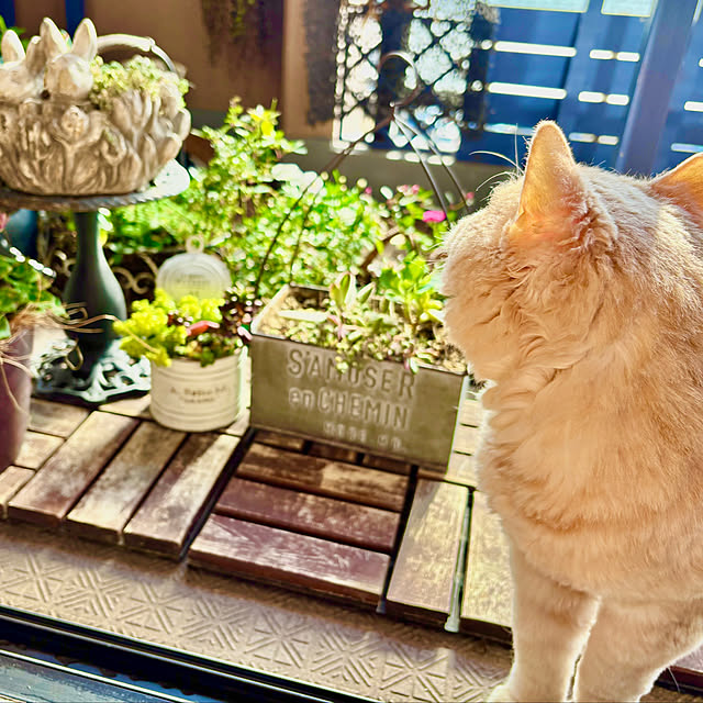 naokoさんの部屋