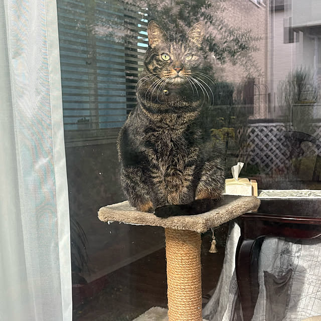 momocchiさんの部屋