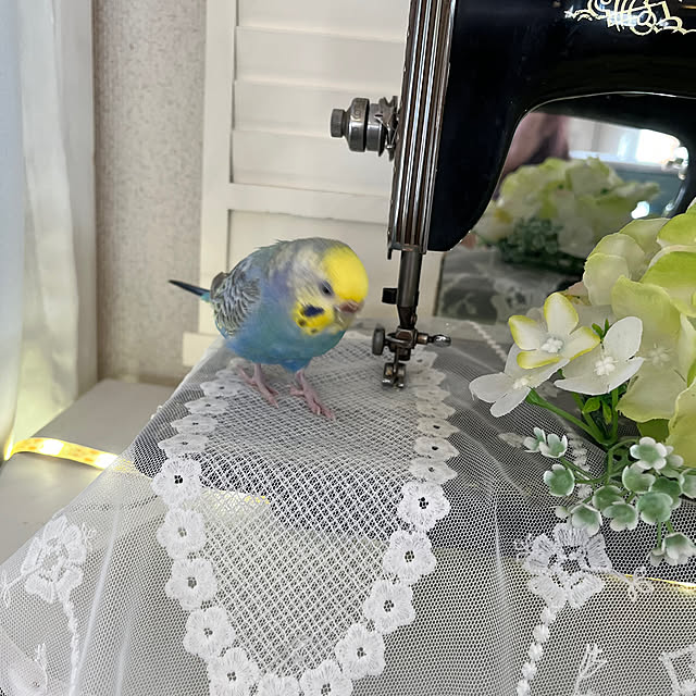 Atsukoさんの部屋