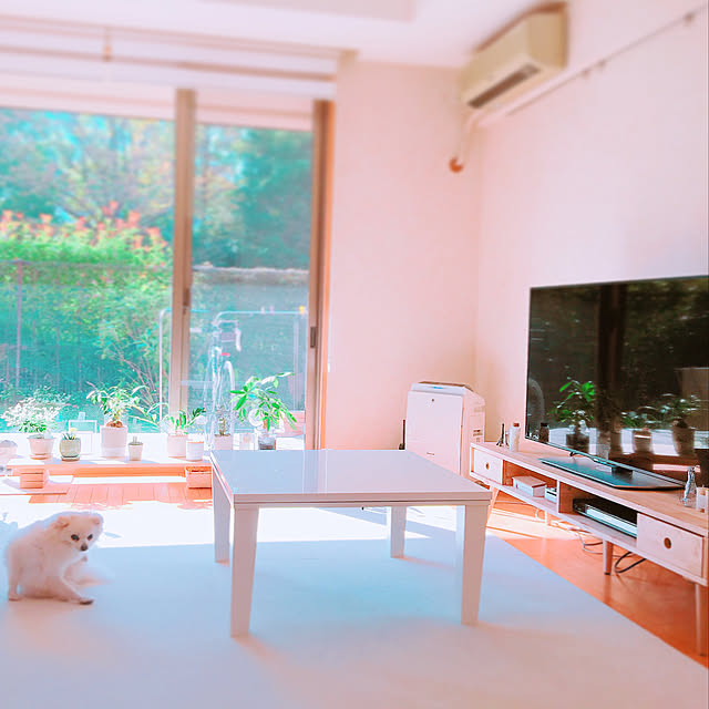 tokoさんの実例写真