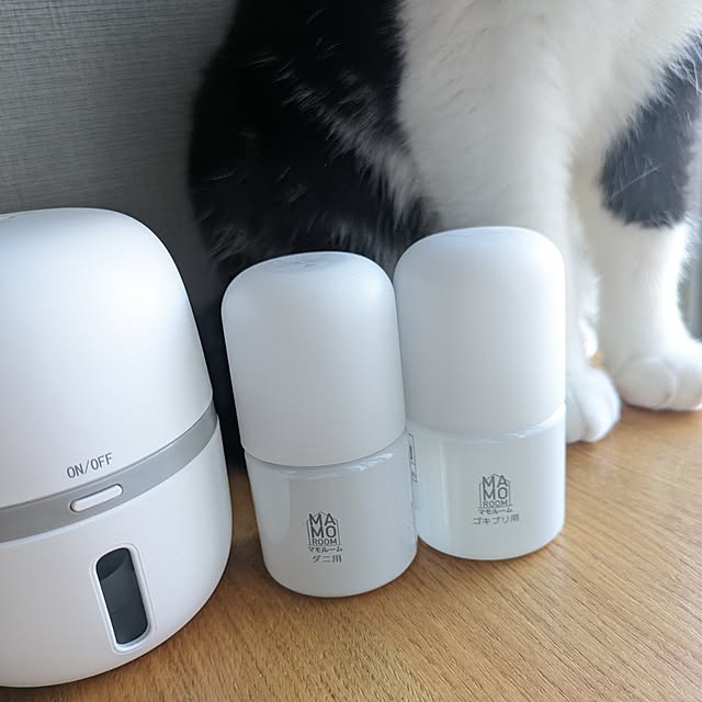 hihaさんの部屋