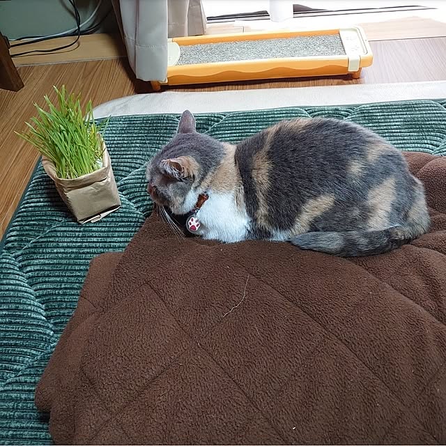 fukuさんの部屋