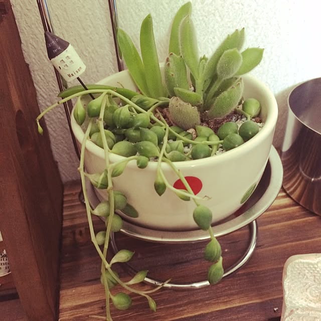 anzuさんの実例写真