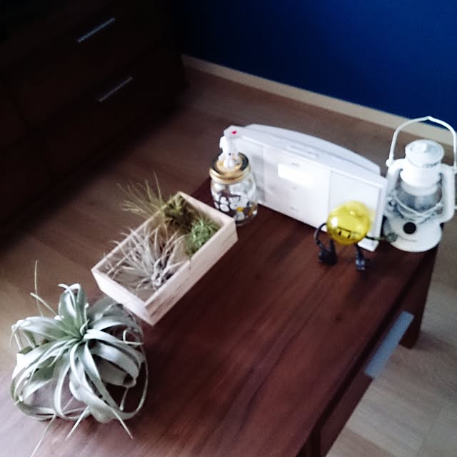 macoさんの実例写真