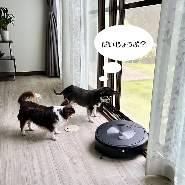 Hannahさんの部屋