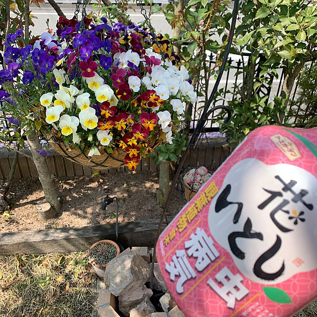 Momoさんの実例写真