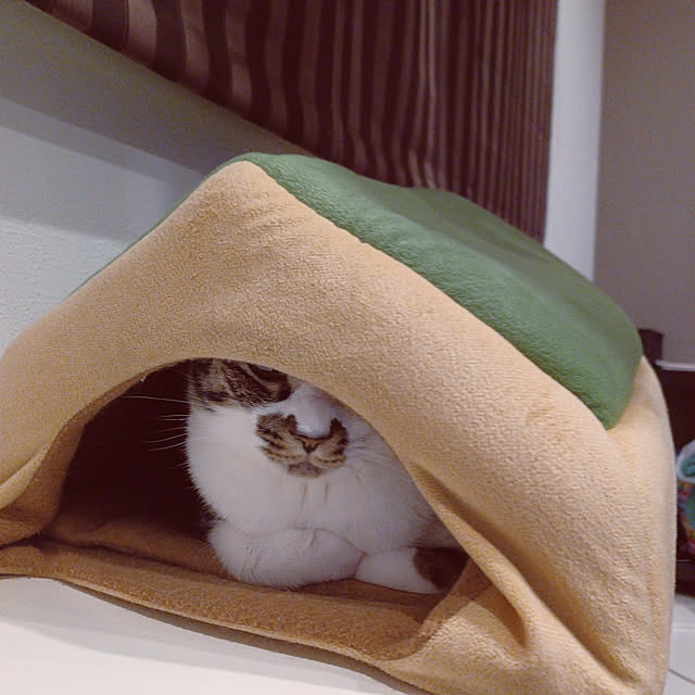nrさんの実例写真