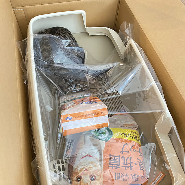 toyomaruさんの部屋