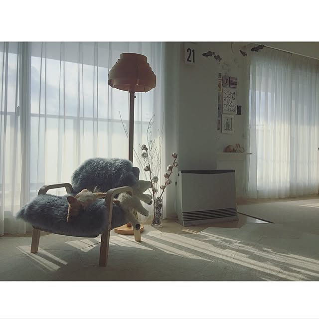 haruhinaさんの実例写真