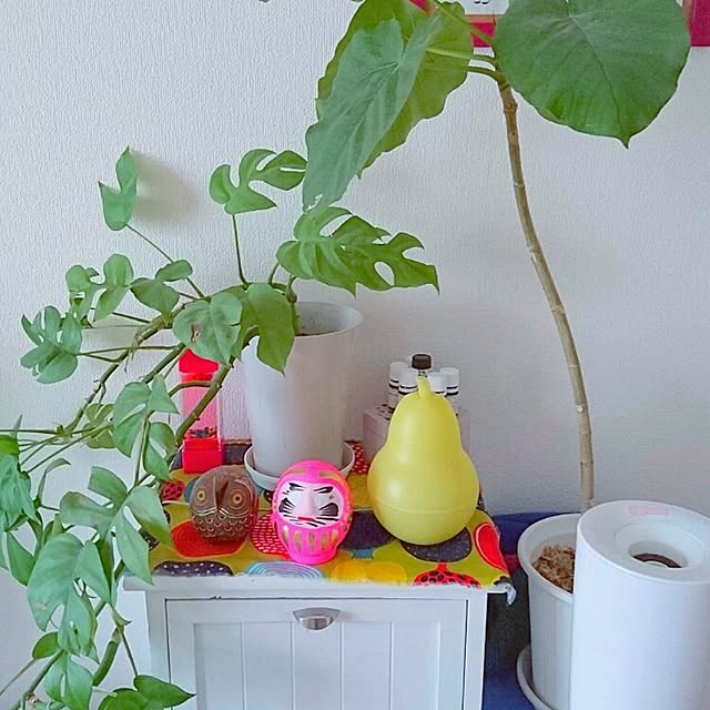babushka_yoriさんの実例写真
