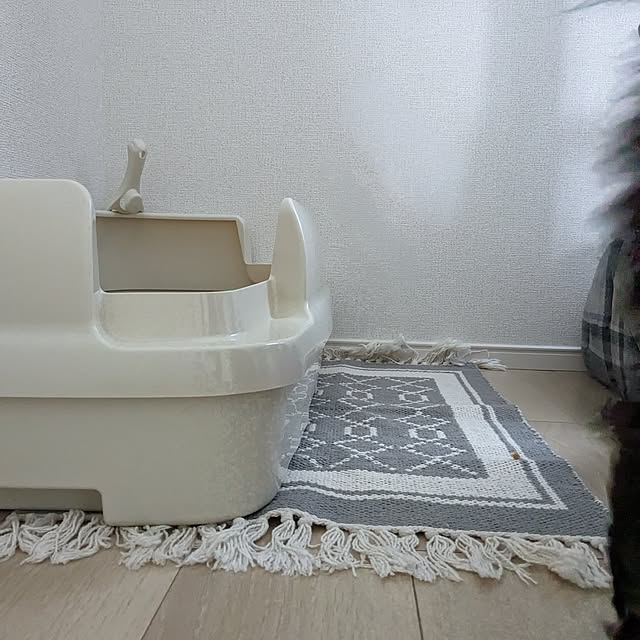 kumiさんの部屋
