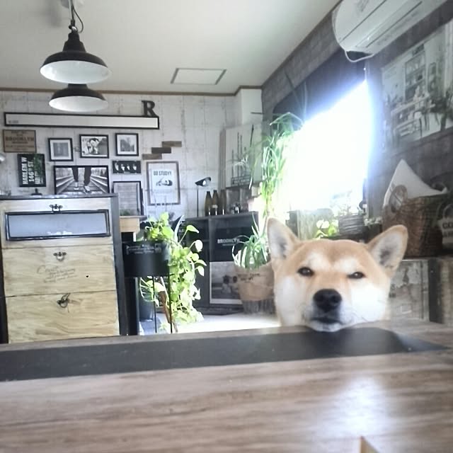 kさんの実例写真
