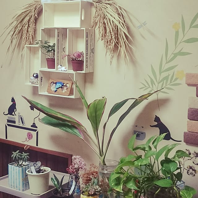 実例写真