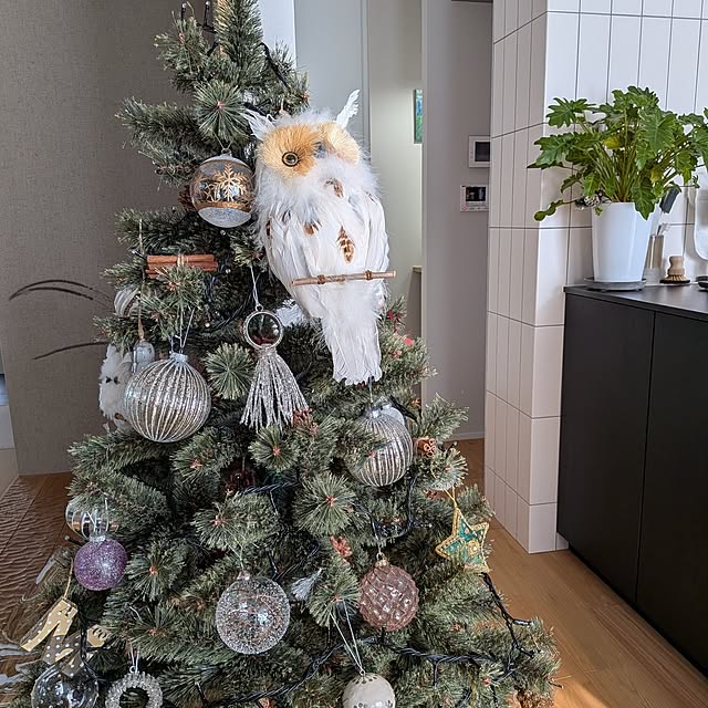 Rororiさんの実例写真