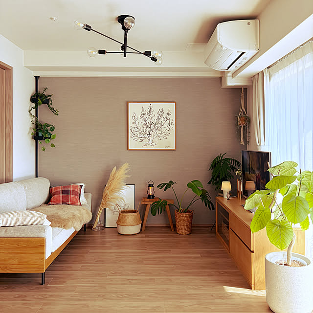 Anthuriumさんの実例写真