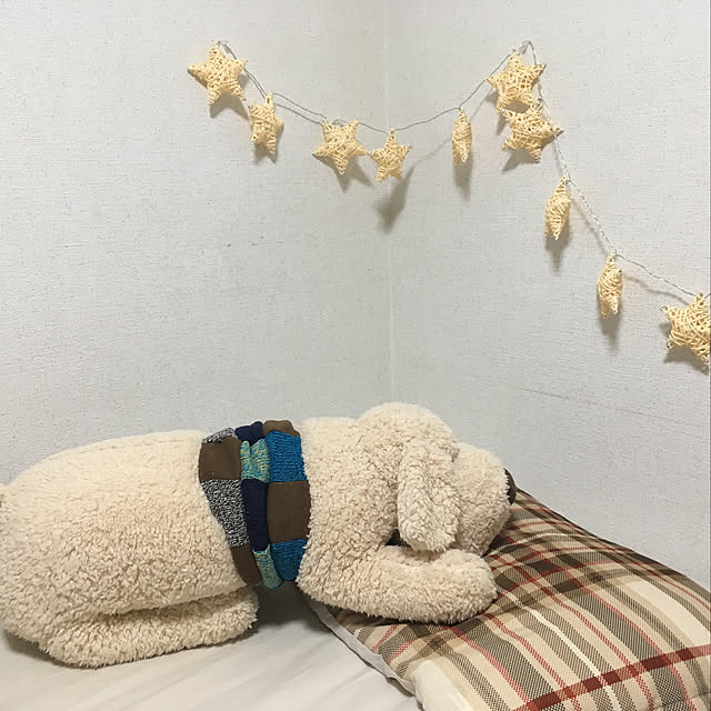 roroさんの実例写真