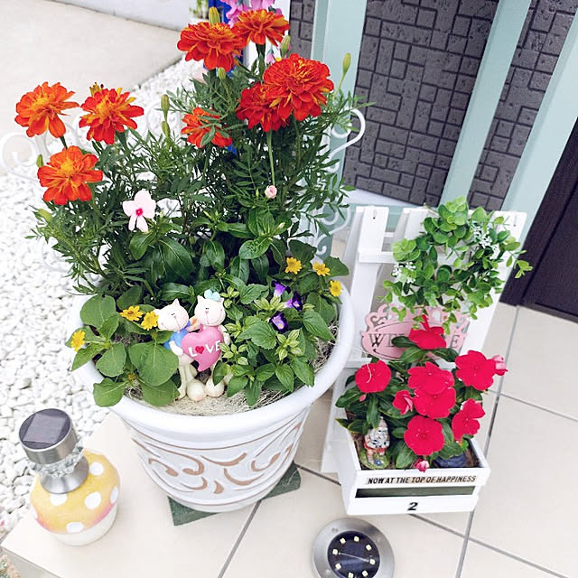 Miyumamaさんの実例写真