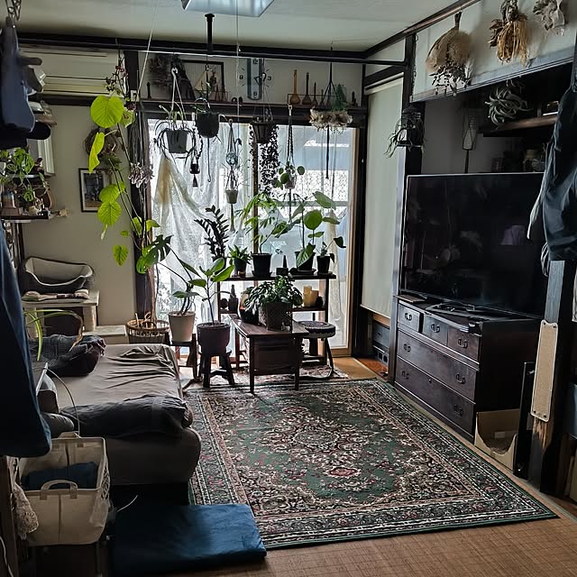 koyutan-mjmさんの実例写真