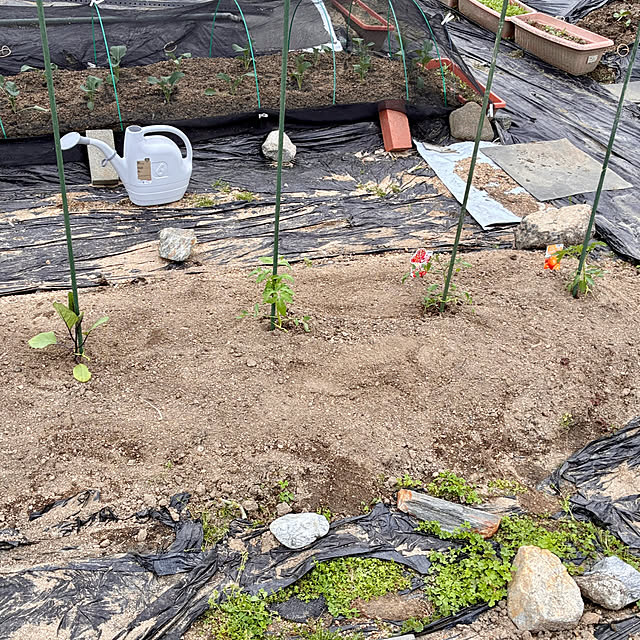 ayayayayaさんの部屋