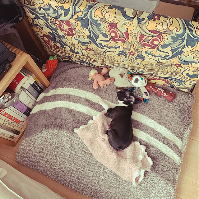 inoさんの実例写真
