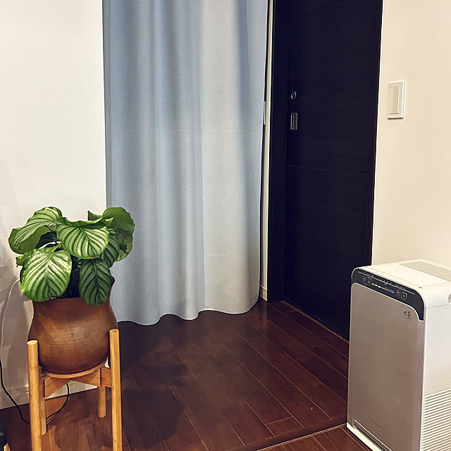 happy-sachiさんの実例写真