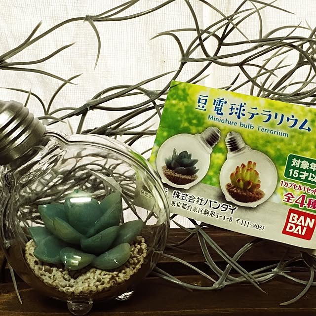 maemuki_lifeさんの実例写真