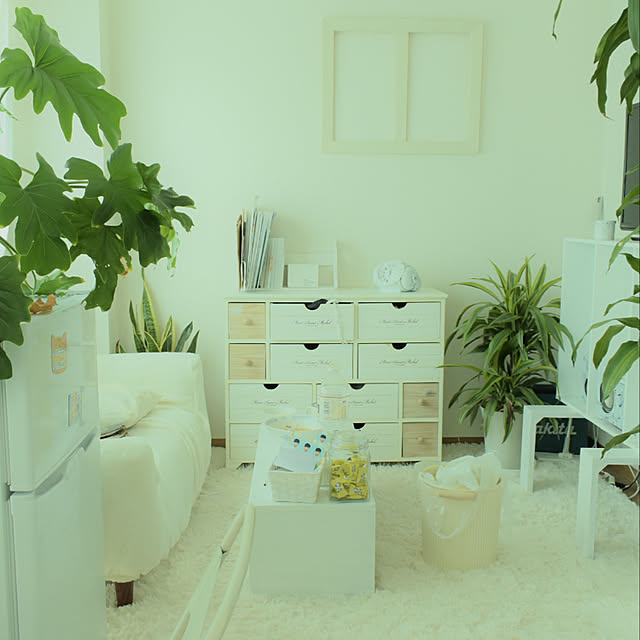 リビング/100均/DIY/観葉植物/一人暮らし...などのインテリア実例 - 2018-06-28 13:47:35