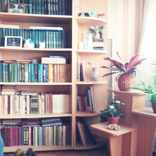 dashapah.comさんの実例写真