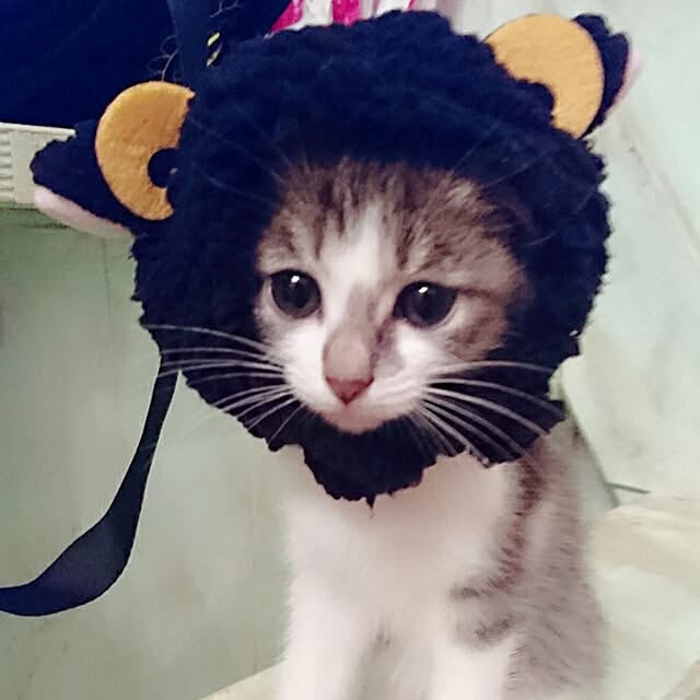 totoko3927さんの実例写真